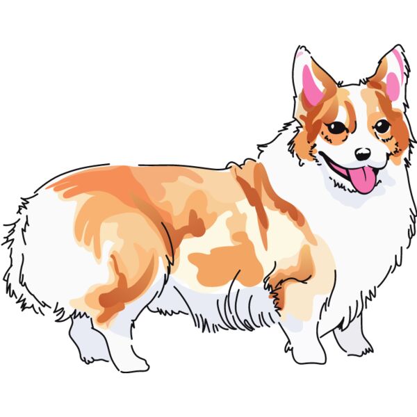 PG85791 Miniaturansicht