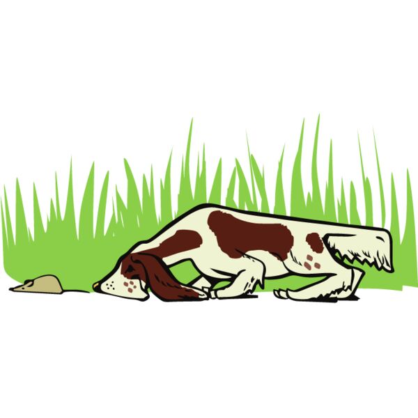 PG71369 Miniaturansicht