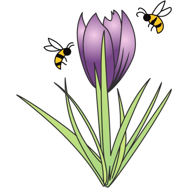 PG63920 Miniaturansicht