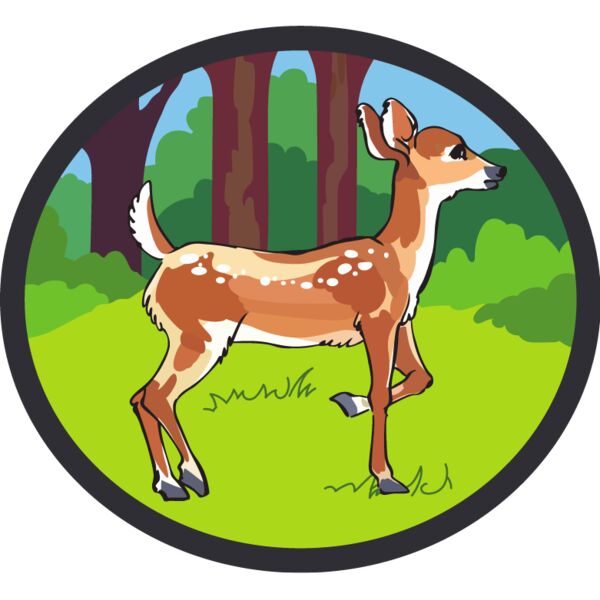 PG78298 Miniaturansicht