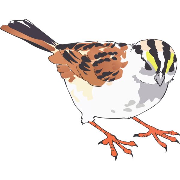 PG69904 Miniaturansicht