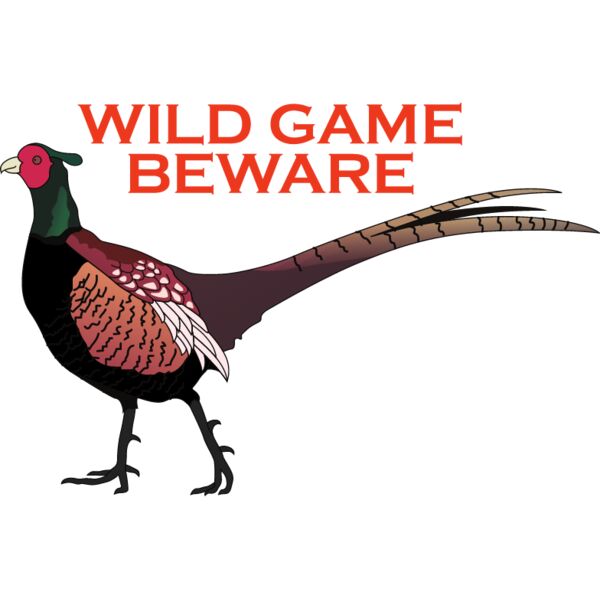 PG50616 Miniaturansicht