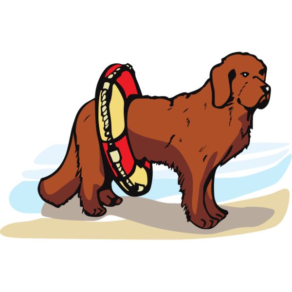 PG71651 Miniaturansicht