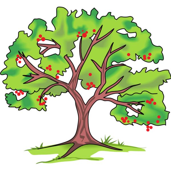 PG62821 Miniaturansicht