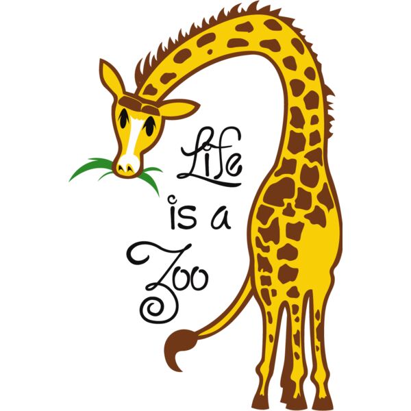 PG78240 Miniaturansicht