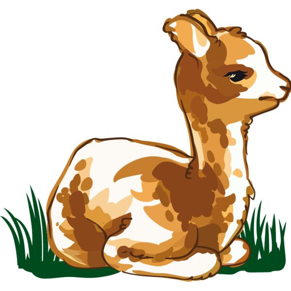 PG79872 Miniaturansicht