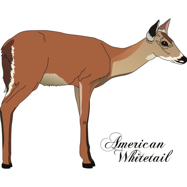 PG50670 Miniaturansicht