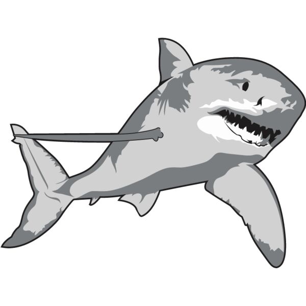 PG72497 Miniaturansicht