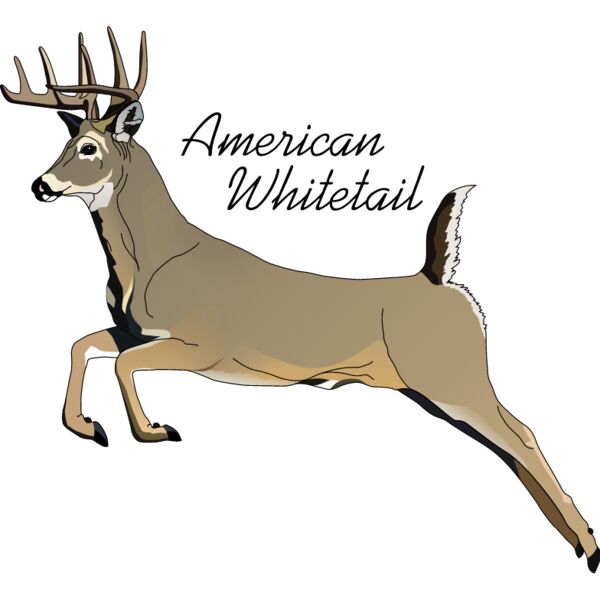 PG50654 Miniaturansicht