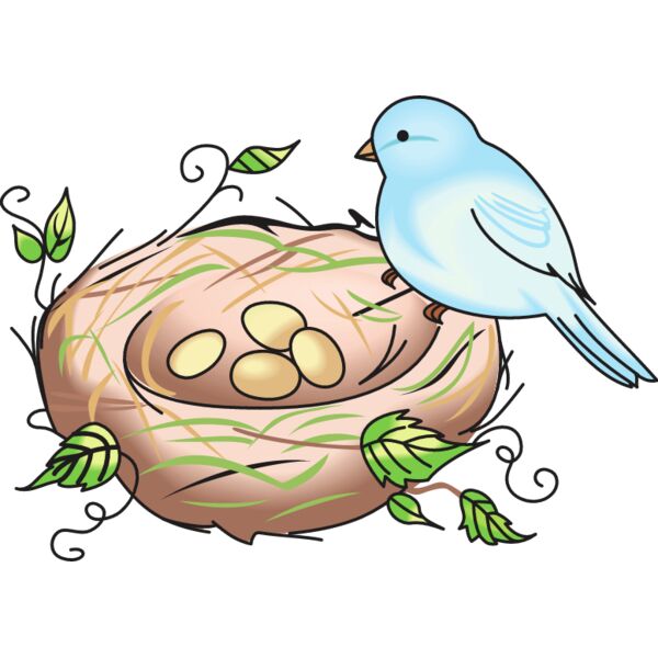 PG55313 Miniaturansicht