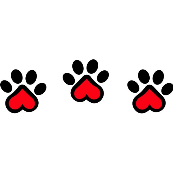 PG72212 Miniaturansicht