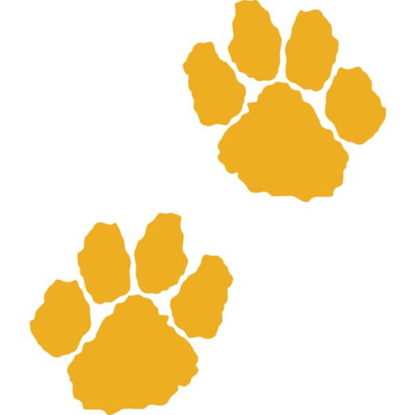 PG59269 Miniaturansicht