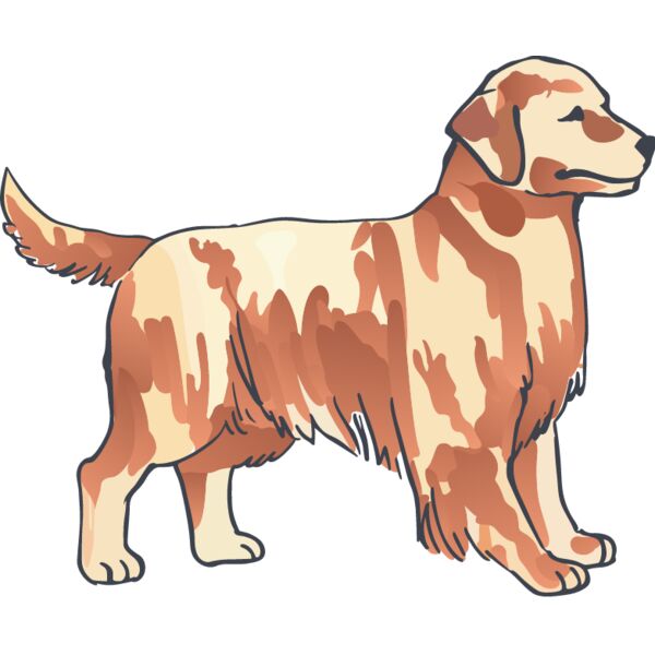 PG77801 Miniaturansicht