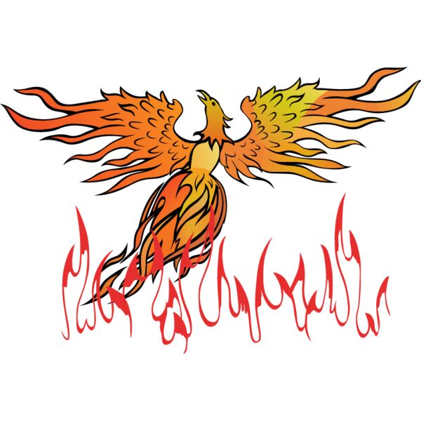 PG70929 Miniaturansicht