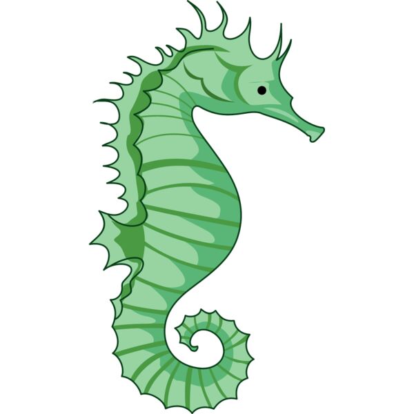 PG45619 Miniaturansicht