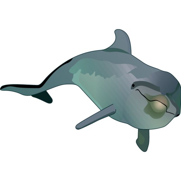 PG55885 Miniaturansicht