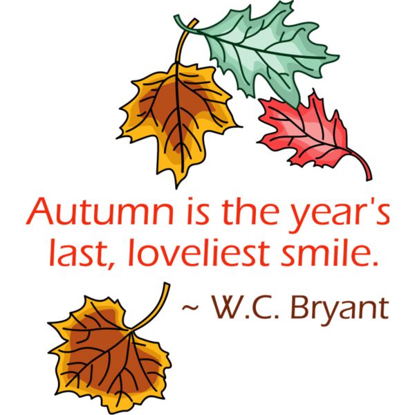 PG17963 Miniaturansicht