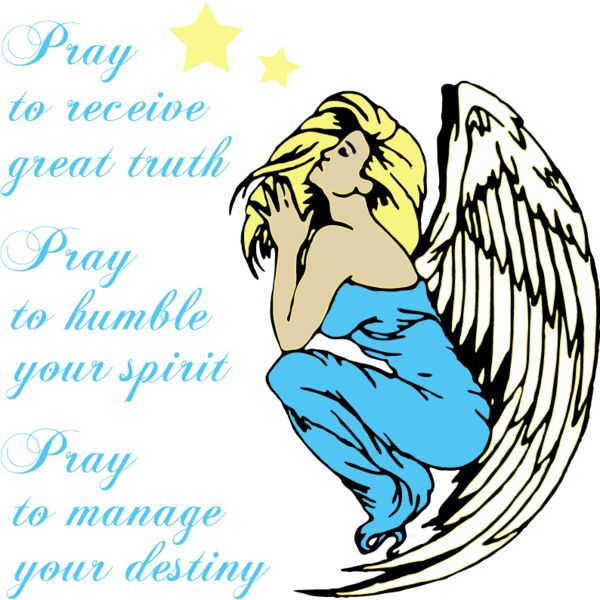 PG69774 Miniaturansicht