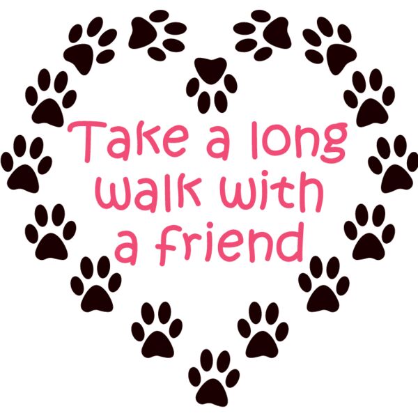 PG63462 Miniaturansicht