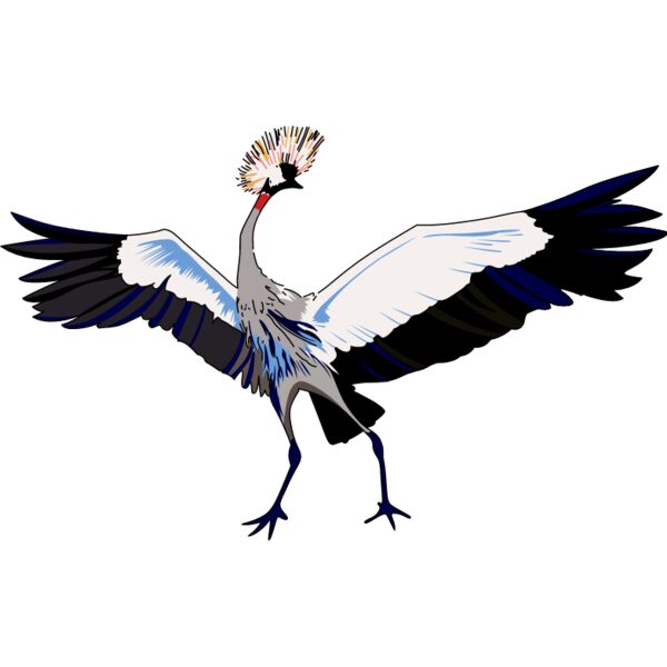 PG79543 Miniaturansicht