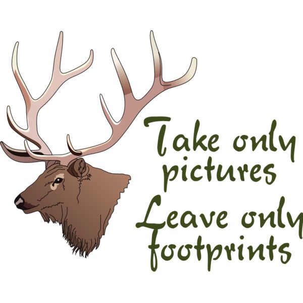 PG50680 Miniaturansicht