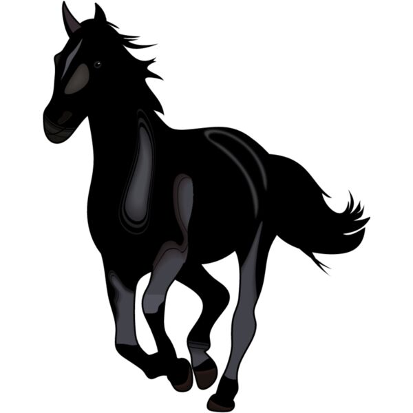 PG55675 Miniaturansicht