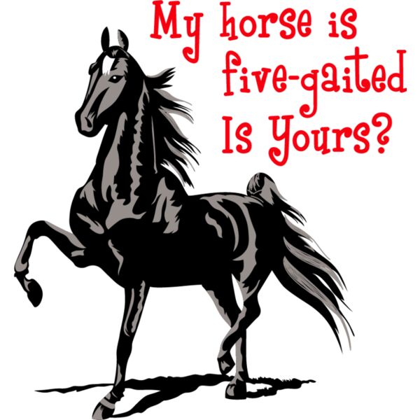 PG70508 Miniaturansicht