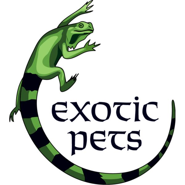 PG66430 Miniaturansicht