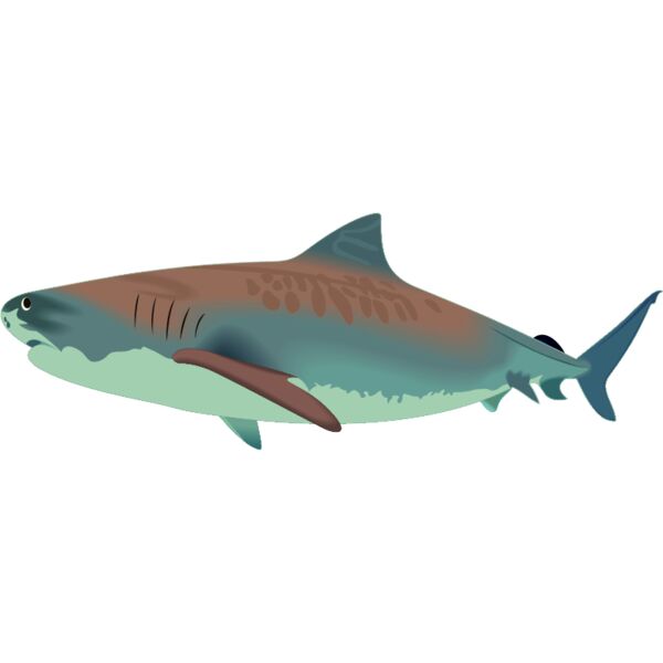 PG59661 Miniaturansicht