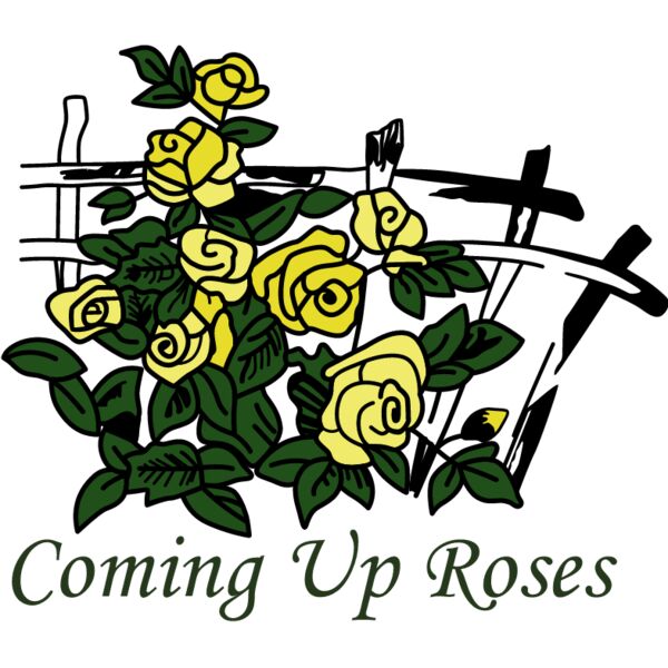 PG49489 Miniaturansicht