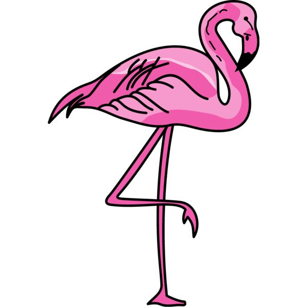 PG18449 Miniaturansicht