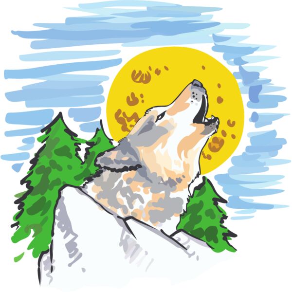 PG87976 Miniaturansicht