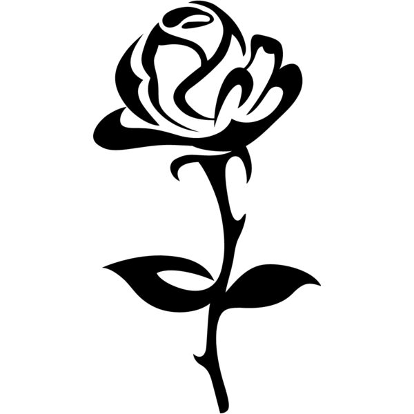 PG63813 Miniaturansicht