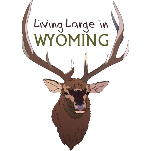 PG50704 Miniaturansicht