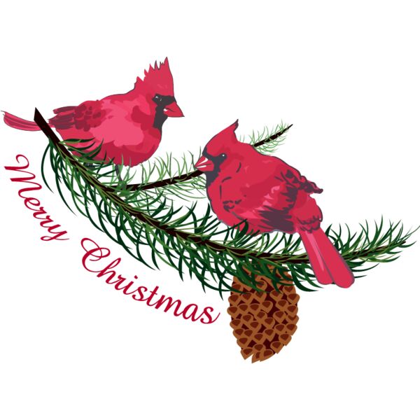 PG78735 Miniaturansicht