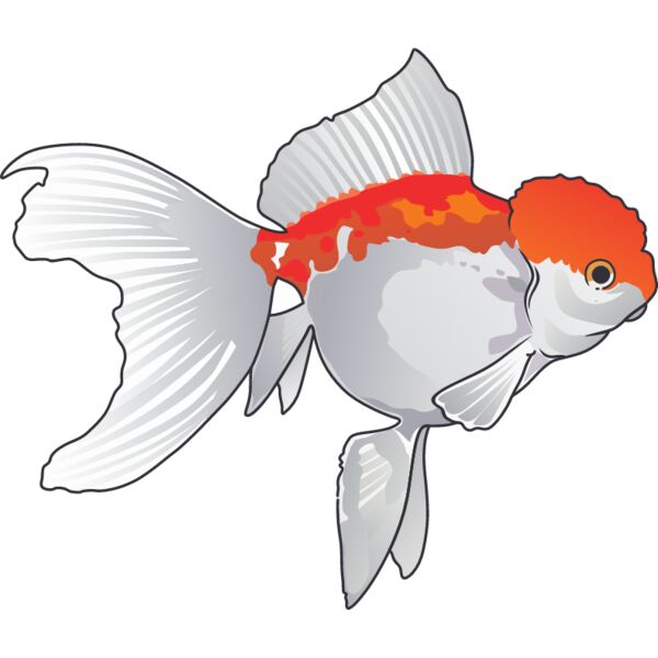 PG69555 Miniaturansicht