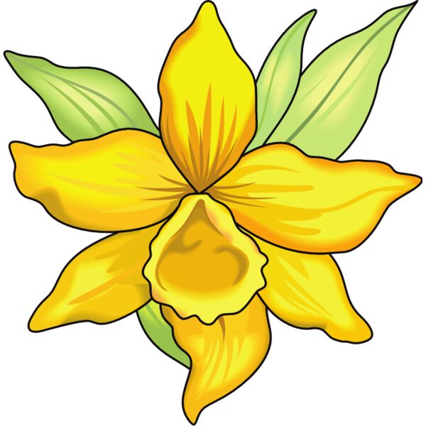 PG59821 Miniaturansicht