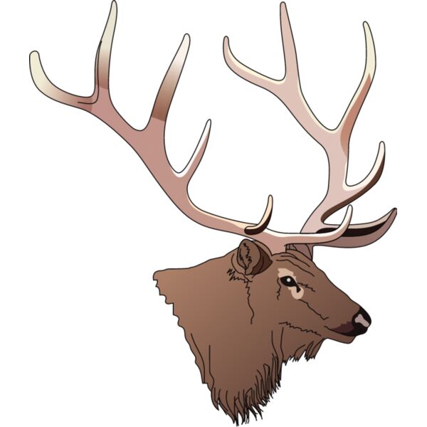 PG50677 Miniaturansicht