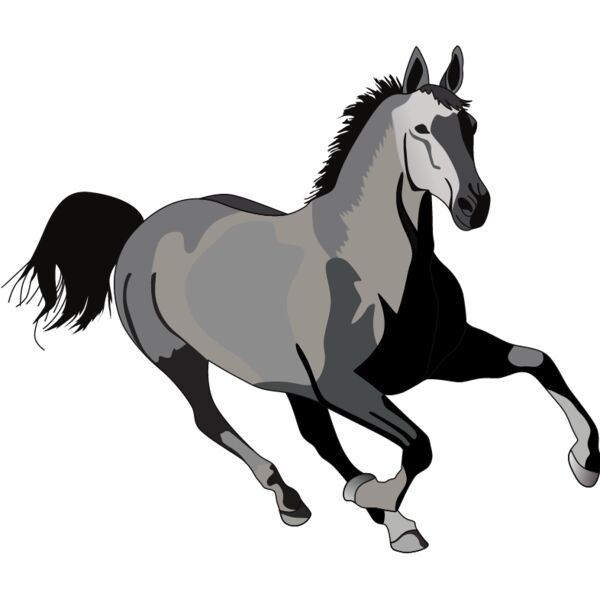 PG50857 Miniaturansicht