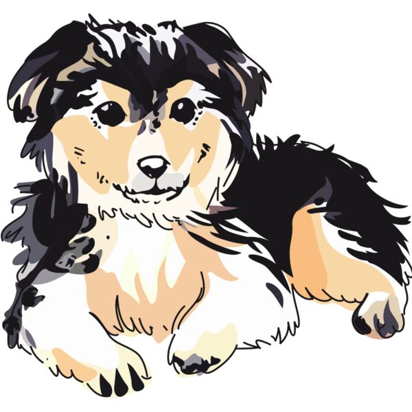 PG79486 Miniaturansicht