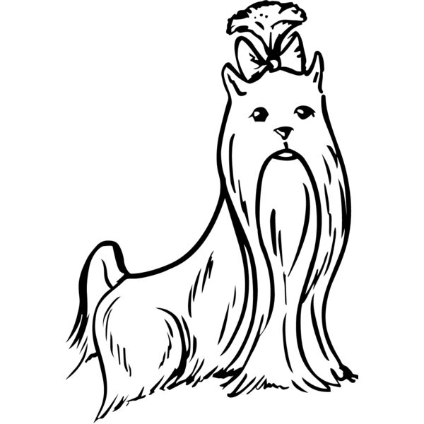 PG71589 Miniaturansicht