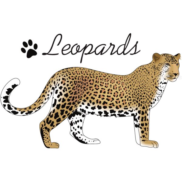 PG59927 Miniaturansicht