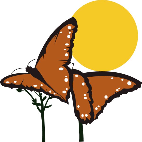 PG78264 Miniaturansicht