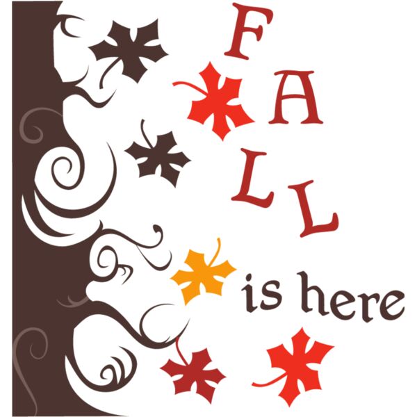 PG72592 Miniaturansicht