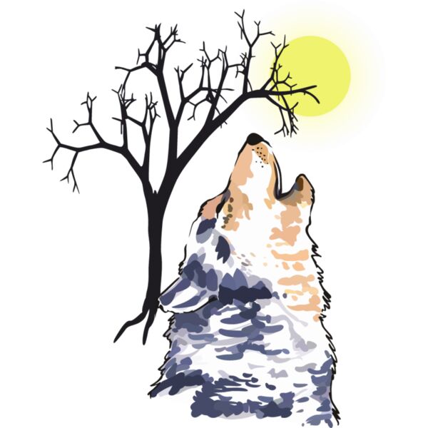 PG78155 Miniaturansicht