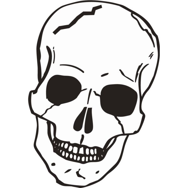 PG67913 Miniaturansicht