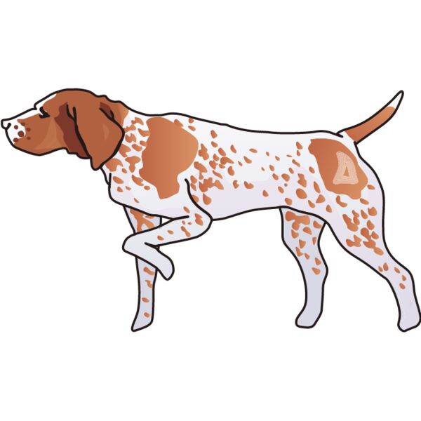 PG93936 Miniaturansicht