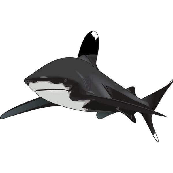 PG52946 Miniaturansicht