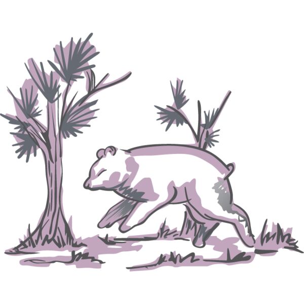 PG63654 Miniaturansicht