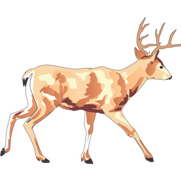 PG72818 Miniaturansicht